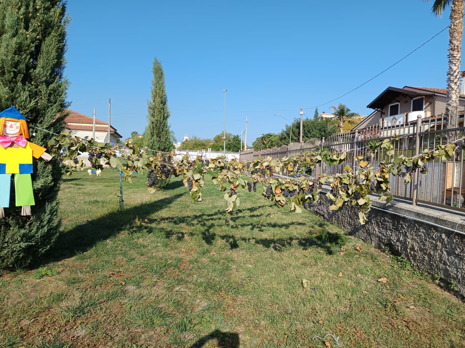 IMG-20251014-WA0159