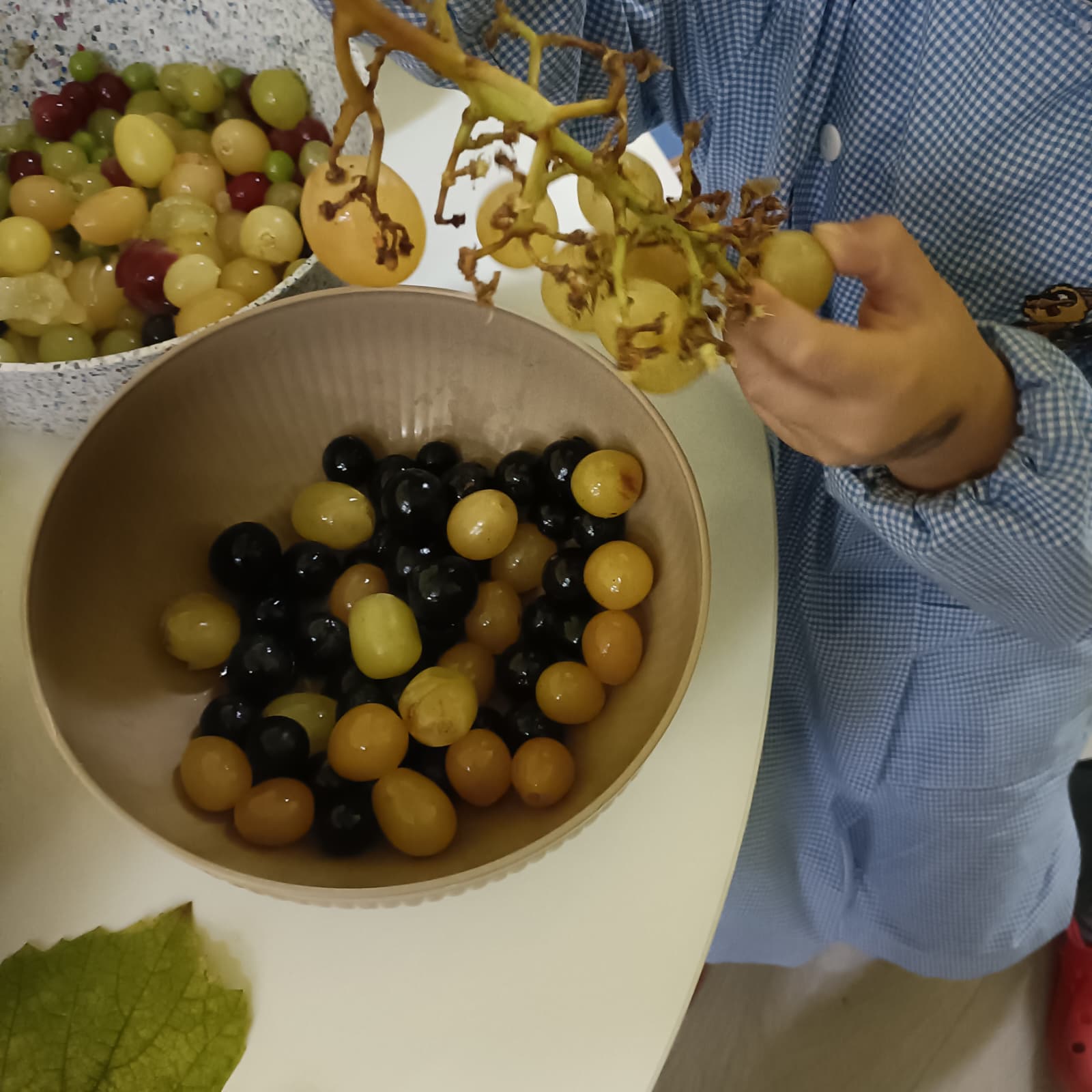 vendemmia pascoli 15