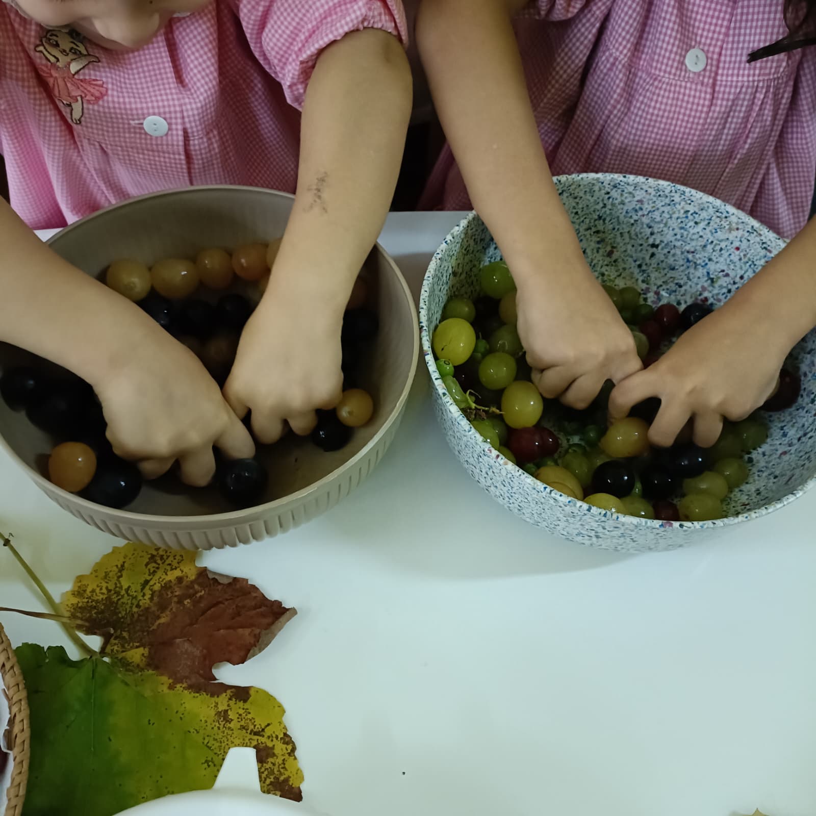 vendemmia pascoli 17