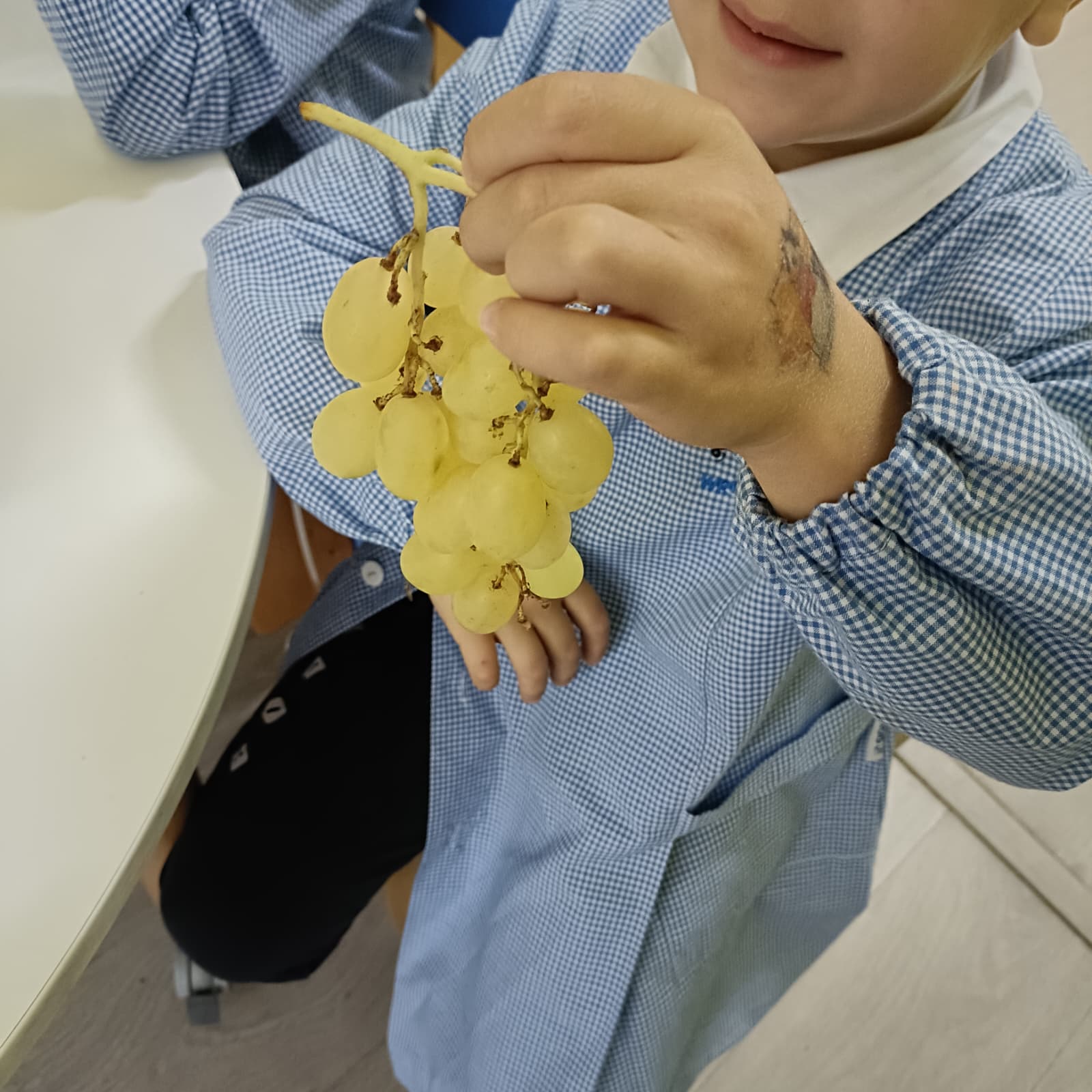 vendemmia pascoli 19