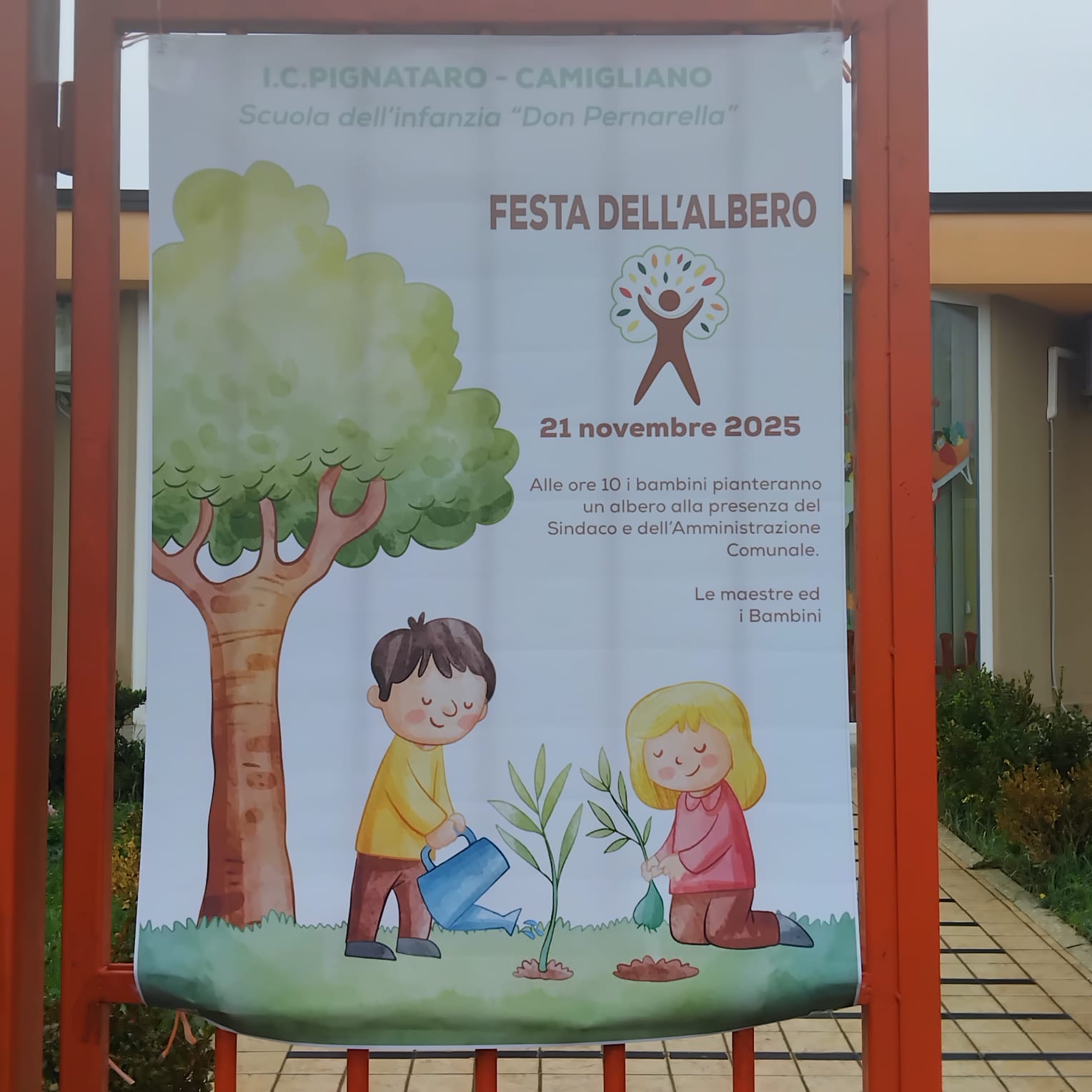 Albero - Pernarella