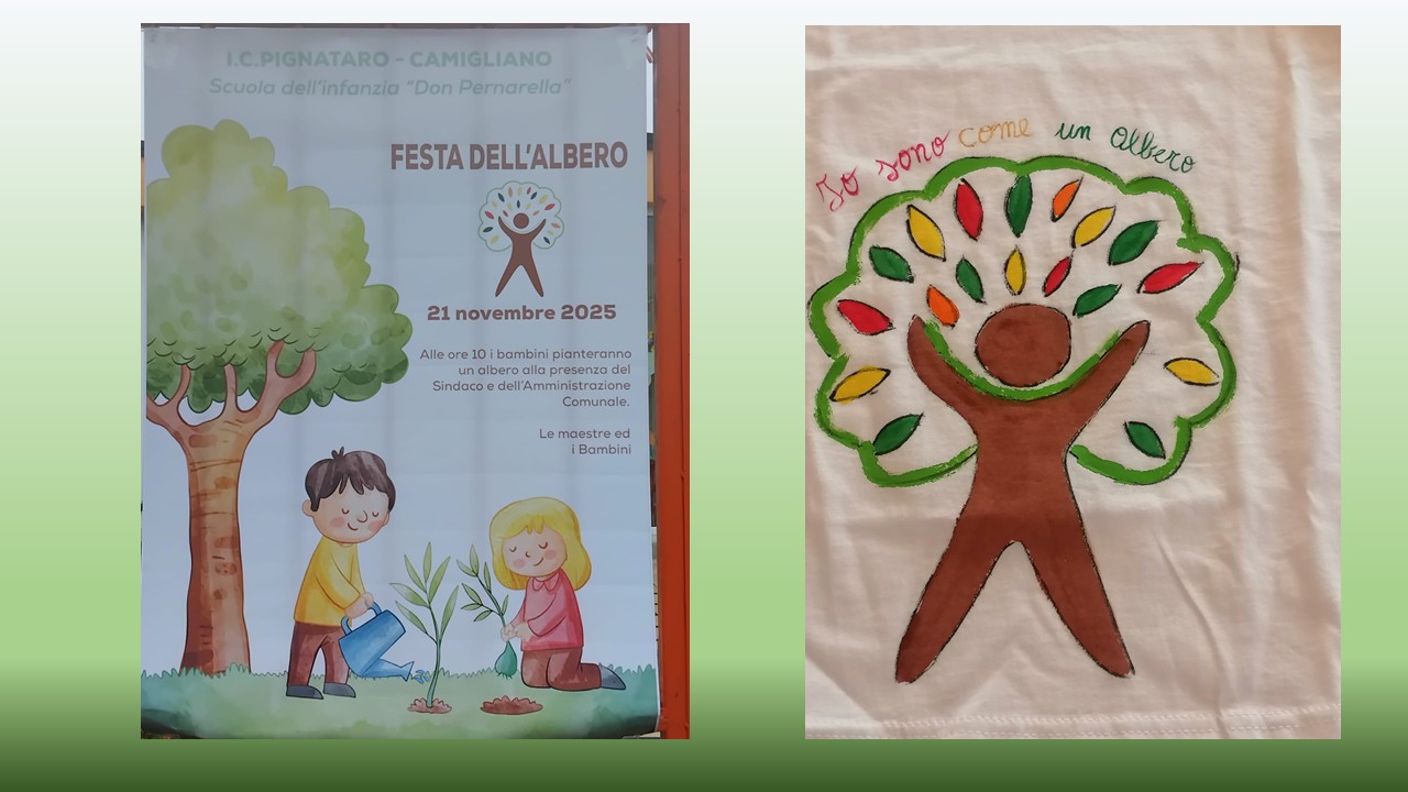Albero - Pernarella
