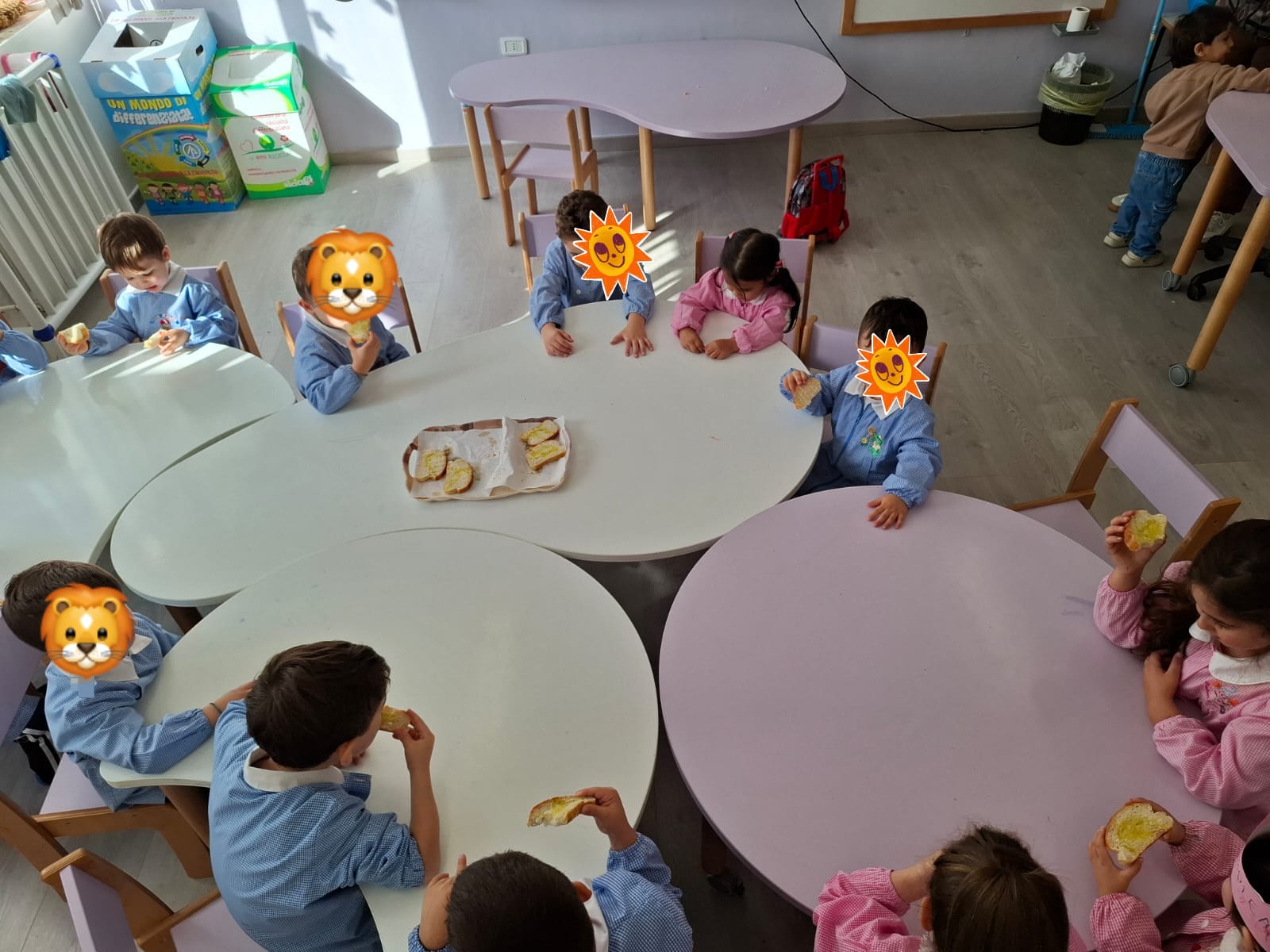 Laboratorio olive - plesso Pascoli 